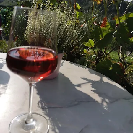 Ubytování v soukromí Gaestehaus Eulenkoepfchen Neef
